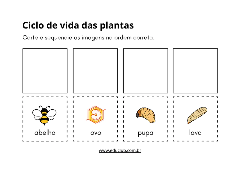 Atividade sobre o ciclo de vida da abelha | Educlub